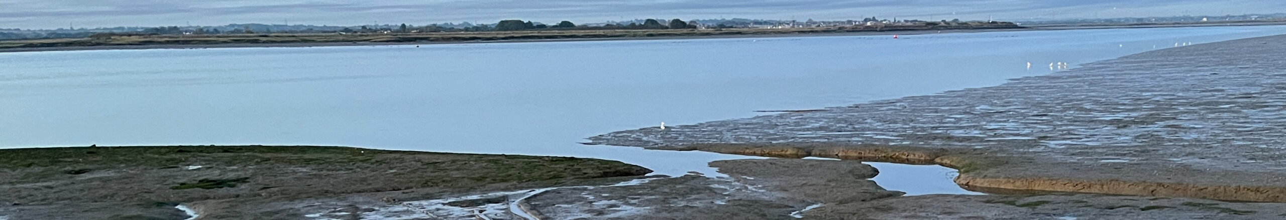 Sailing in Shoal Waters